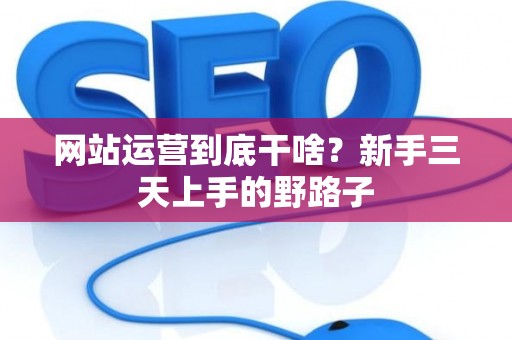 网站运营到底干啥？新手三天上手的野路子